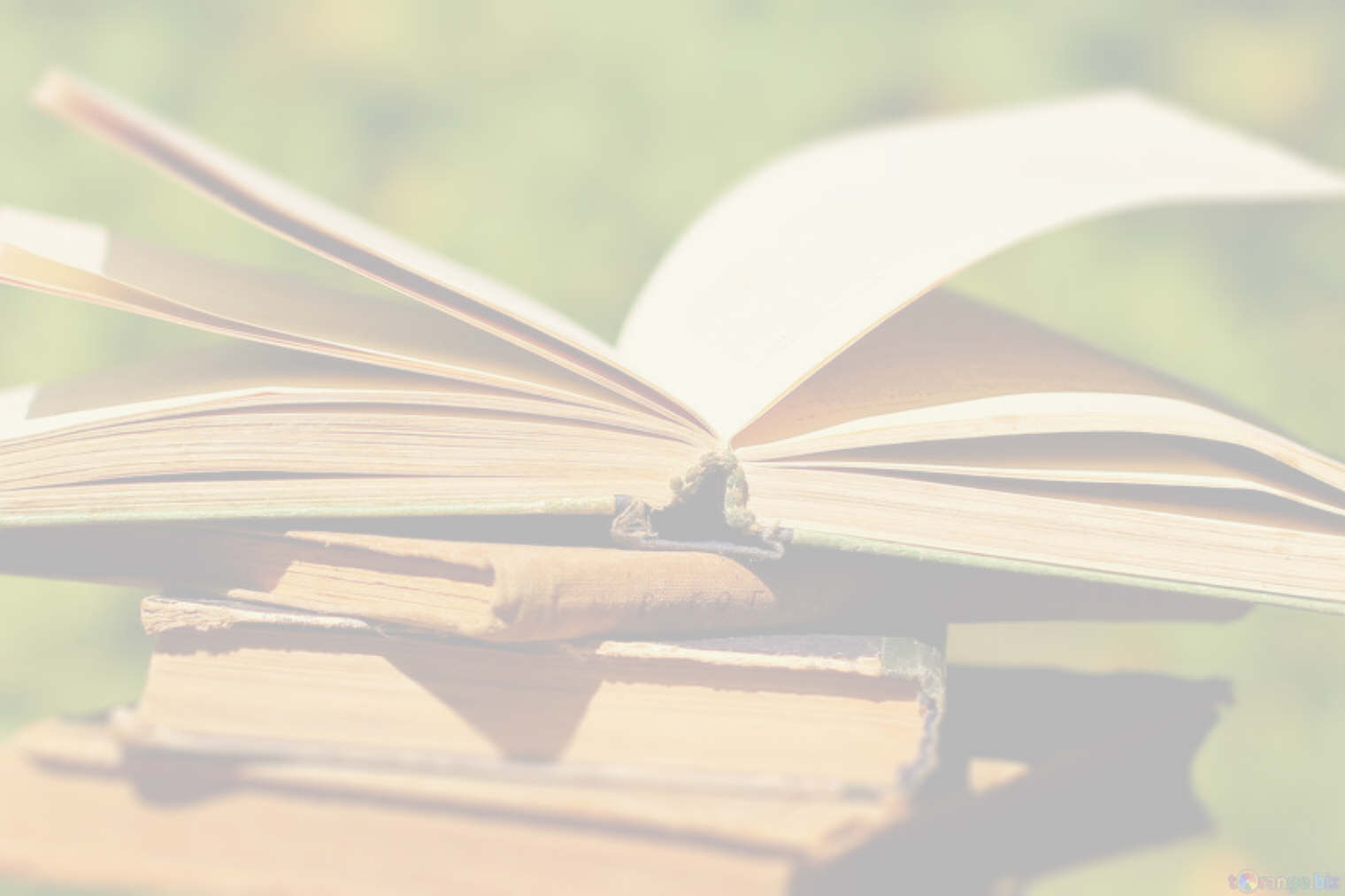 Datenschutzerkl�rung